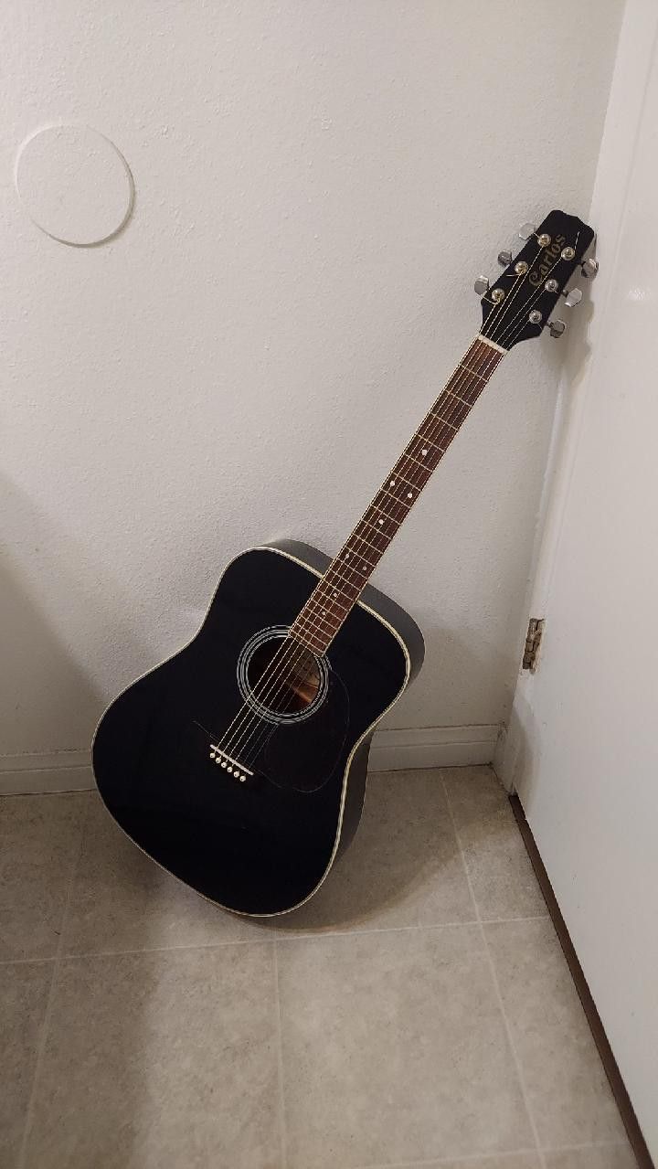 Acoustic Guitar