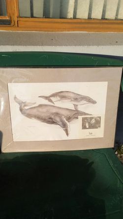 Nice sketch of. Sperm whales in. Matted frame