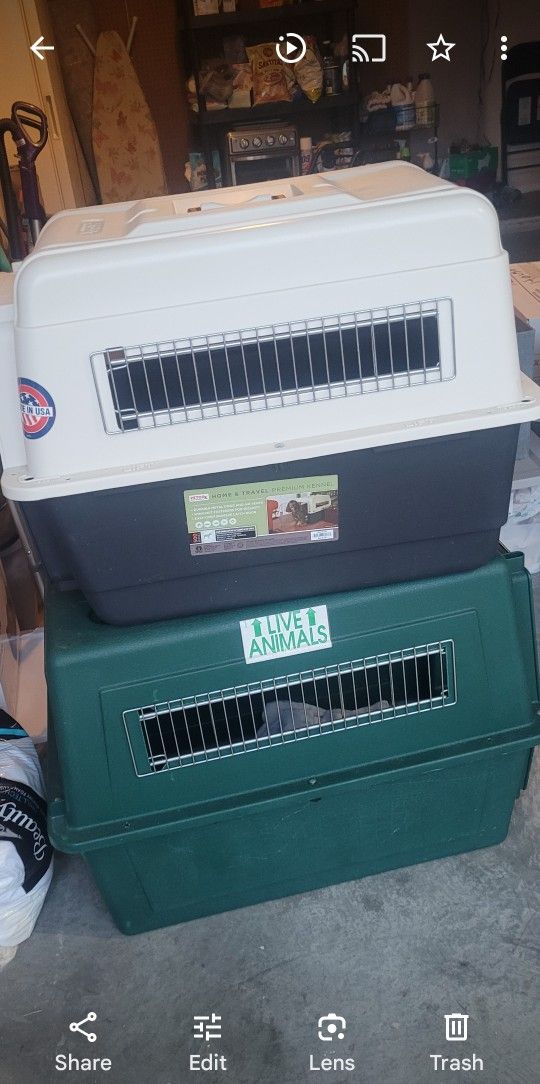 Dog Crates