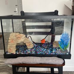 Fish Tank
