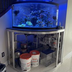 Fish Tank Aquarium - 92 Gallon Bow Front 