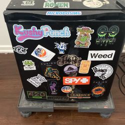 Mini Fridge 