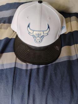 Chicago bulls