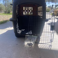Dog Kennel/crate