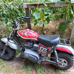 Trailmaster Hurricane 200x