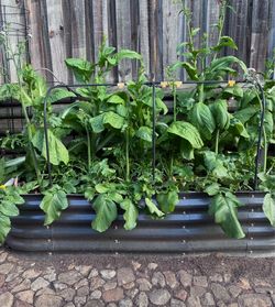 Raise garden bed