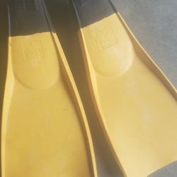 Swim Fins
