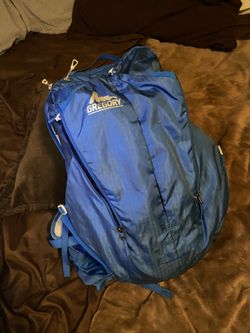 Gregory 22 L backpack