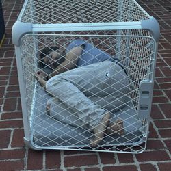 DOG CRATE - Size LARGE - DIGGS