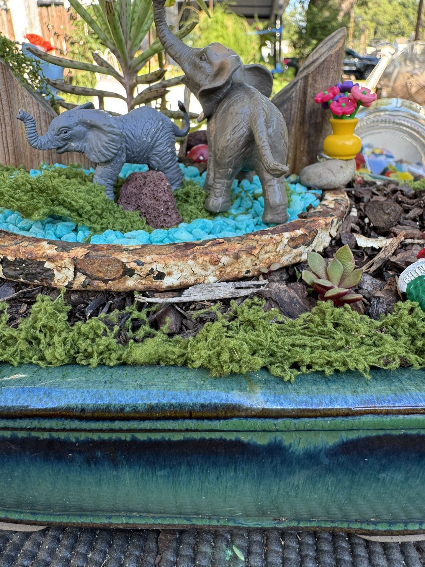 Elephant Pond Fairy Garden…Real Tree And Plants