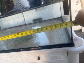Glass Tank Aquarium