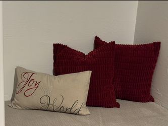 Set of 3 Decorative Throw Pillows