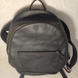 Coach Leather Backpack 