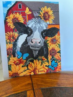 Friendly cow
