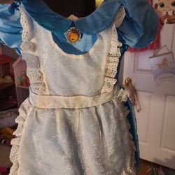 Alice Costume Dress