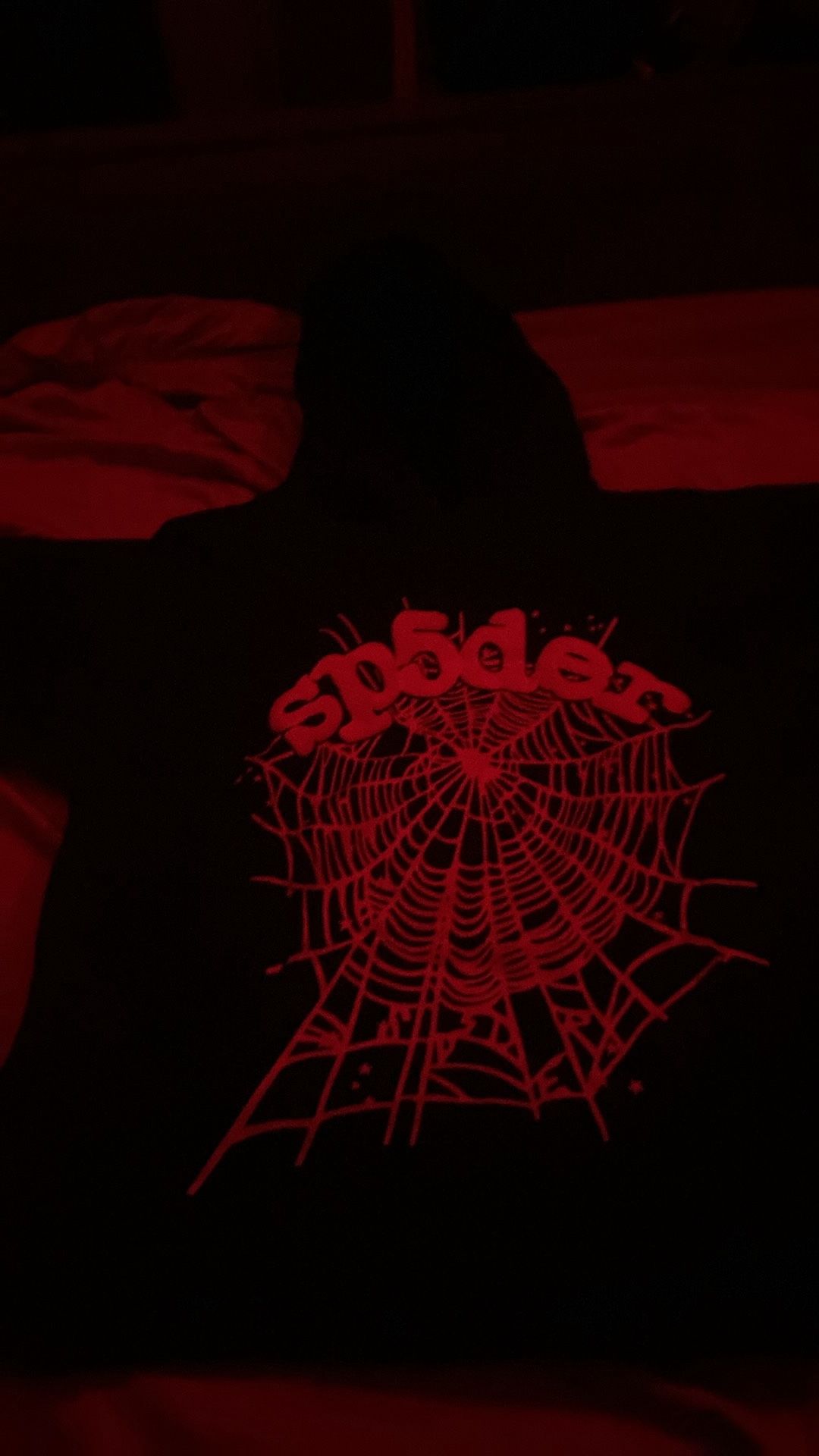 Spider Hoodie Size Small