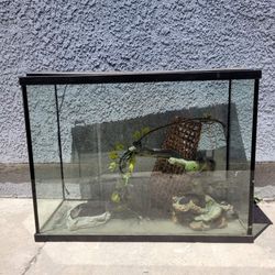 Aquarium Or Reptiles