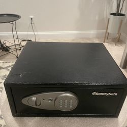 Personal Security Safe 
