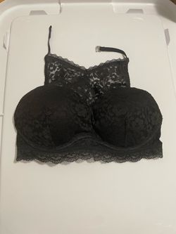 gilly hicks - push up/padded bralette