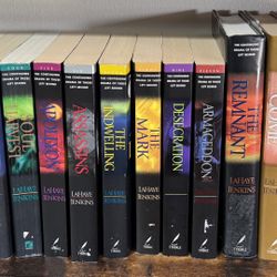 13 Books from Left Behind Series $35 for All