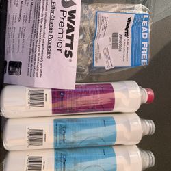 Watts premiere water filter