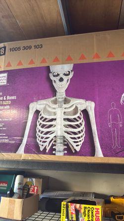 LIMITED EDTION SKELETON