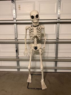 Skeleton Decor