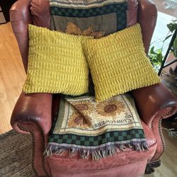 The BIG RED COMFY CHAIR (recliner)