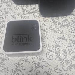 Blink Cameras & Module 