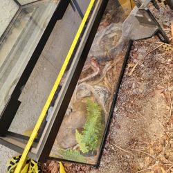 Front Slide Reptile Tank