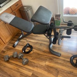 Gold’s Gym Weight Bench & Weights