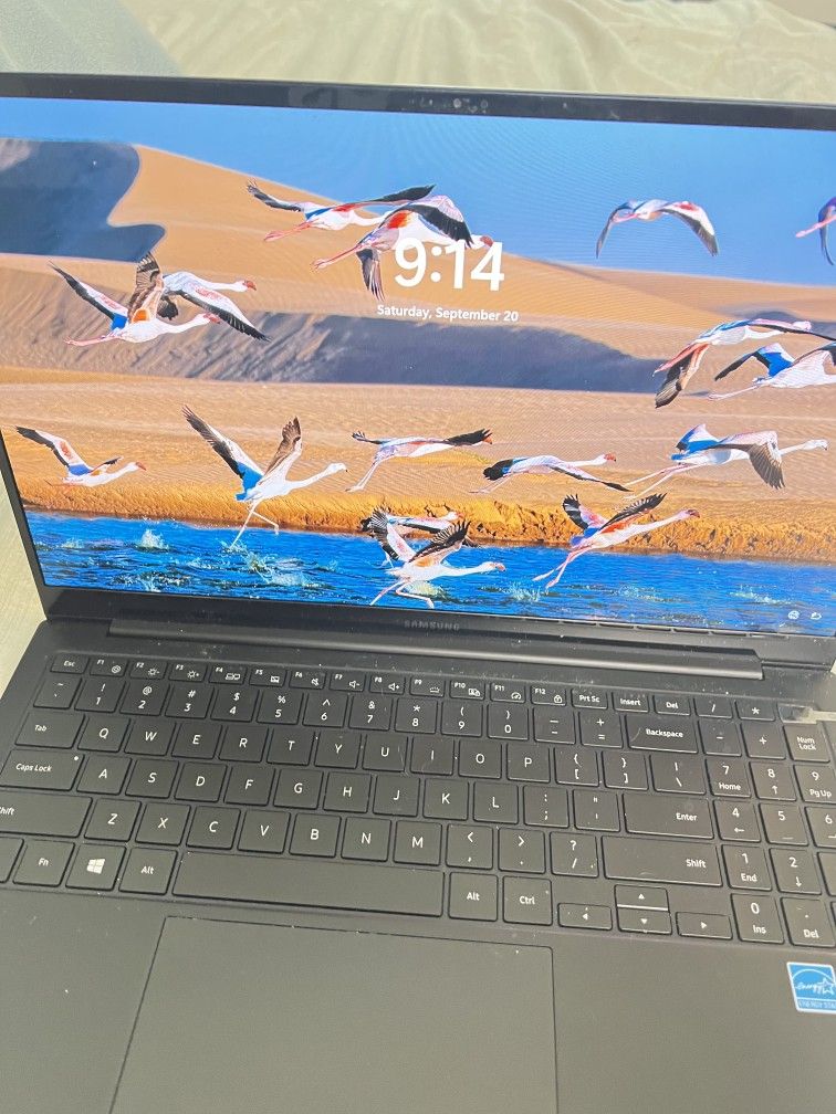 Samsung Galaxy Book Pro 15.6