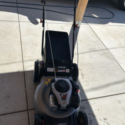 Murray 21 in. 140 cc Briggs and Stratton Walk Behind Gas Push Lawn Mower with Height Adjustment and with Mulch Bag