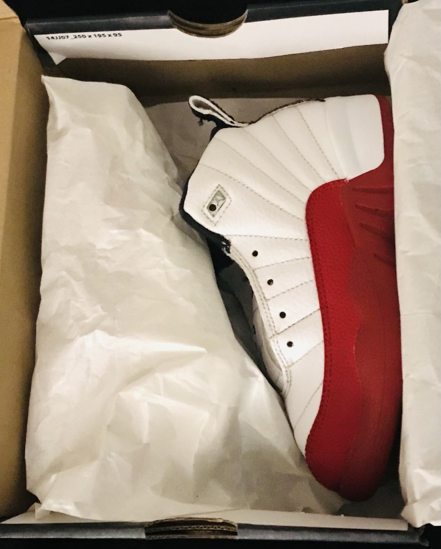 Air Jordan 12 Retro 'Cherry' 2023 Sz 12C