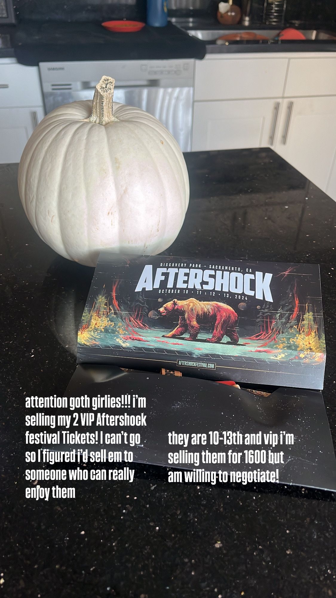 Aftershock 2024 Metal Festival 2 Vip passes