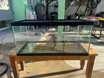 Glass Reptile Aquarium Tank: 45G