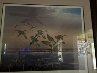 Lot Of Turkey And Duck Artwork