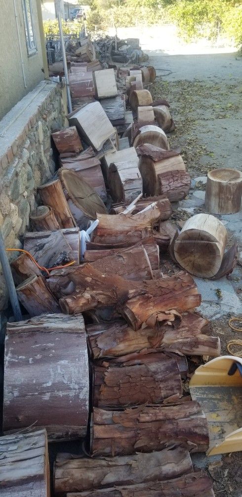 Seasoned Dried Eculuptuas  Ready 2 Burn