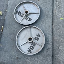 45lb Weights
