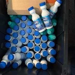Clorox Bleach