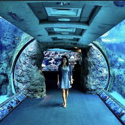 Aquarium Of The Pacific long beach Museum 