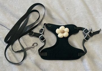 Dark Green Harness/leash