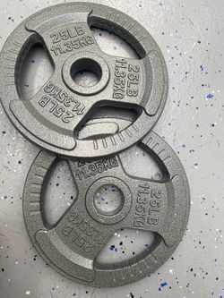 Weight Plates 25lbs Pair