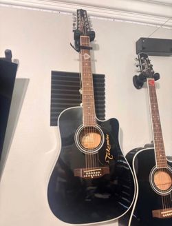 takamine requinto 12 string