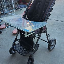 special needs stroller 