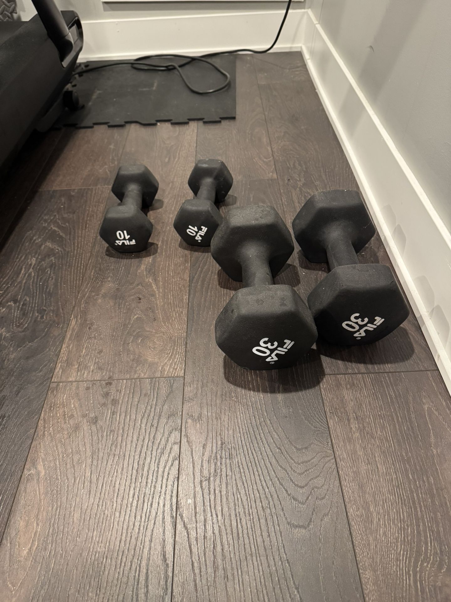 Dumbbell Set (10 and 30 lb)