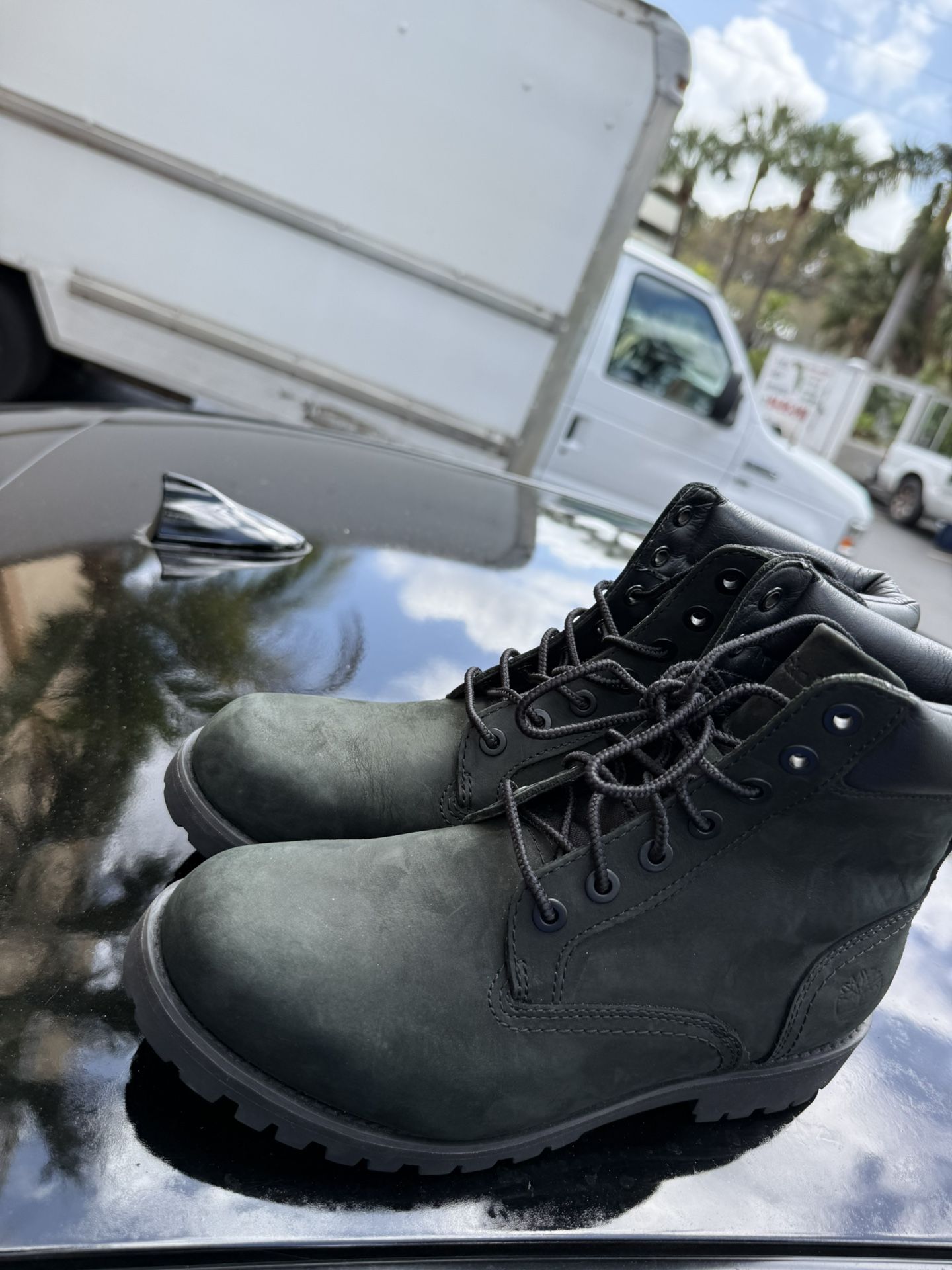 Timberlands