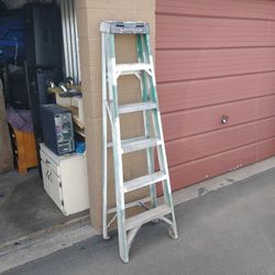 Six Foot Werner Stepladder