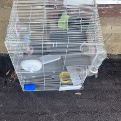 Hamster Cage 