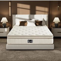 Mattress Brand New